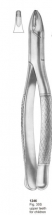  Fig. 30S upper teeth for children 